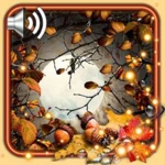 Logo of Autumn Moon Live Wallpaper android Application 