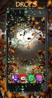 Autumn Moon Live Wallpaper android App screenshot 4